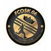 STRG FCOSK06 3